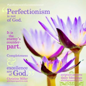 Christine Miller | godliness with contentment at alittleperspective.com
