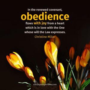 obedience | Christine Miller @ alittleperspective.com