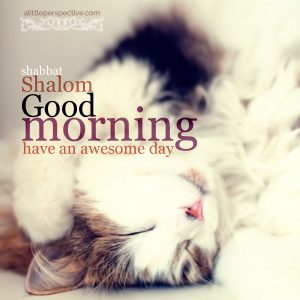 good morning shabbat shalom | daily blessings at alittleperspective.com