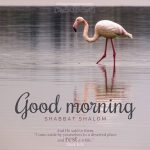 good morning shabbat shalom | daily blessings at alittleperspective.com