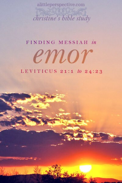 finding messiah in emor, leviticus 21:1-24:23