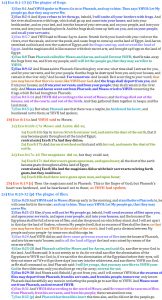 Exo 8:1-32 chiasm | christine's bible study at alittleperspective.com