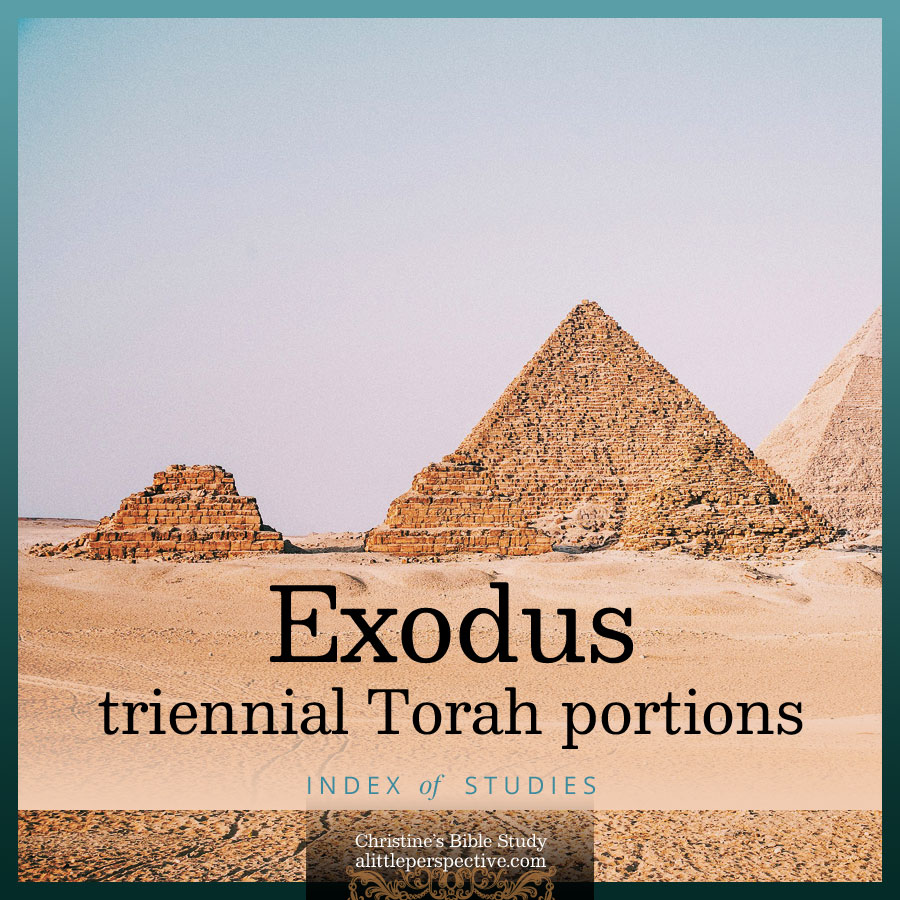 Exodus Triennial Torah Portions | Christine's Bible Study @ alittleperspective.com