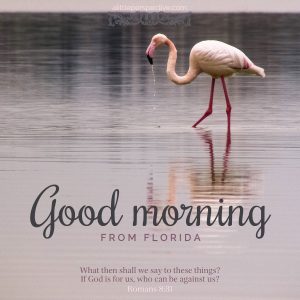 good morning from florida | daily blessings from alittleperspective.com