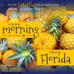good morning from florida | good morning gallery at alittleperspective.com