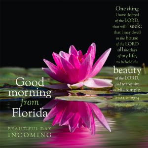 good morning from florida | good morning gallery at alittleperspective.com