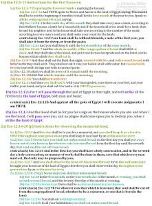 Exodus 12 1 20 Passover Instructions