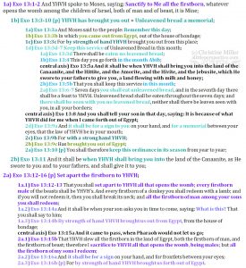 Exo 13:1-16 reverse parallelism | christine's bible study at alittleperspective.com