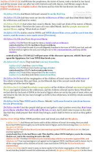 Exo 15:20-16:10 Chiasm | hebraicfaithbible.com
