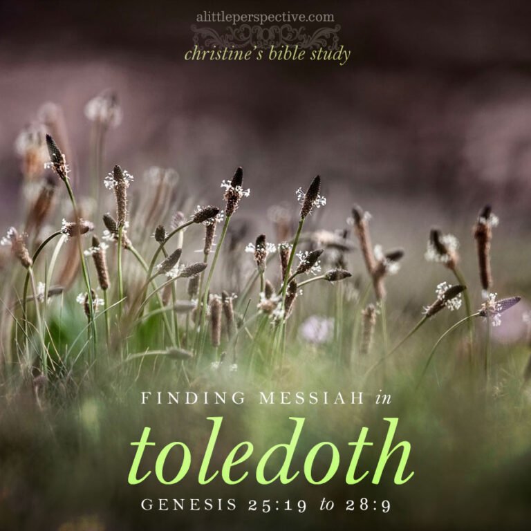 Toledoth Finding Messiah in Toledoth, Genesis 25:19-28:9