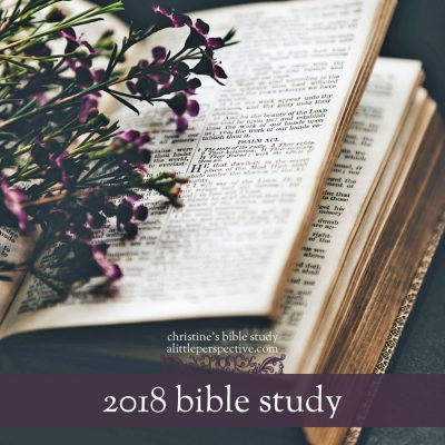 2018 bible reading plan