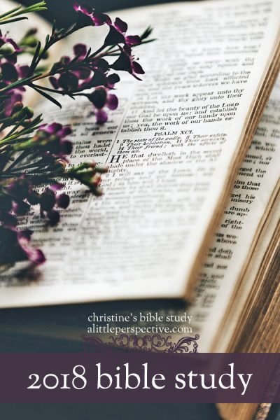 2018 bible study | christine's bible study at alittleperspective.com
