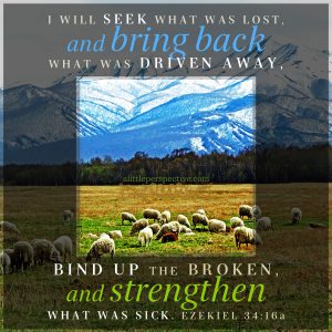 Eze 34:16 | scripture pictures at alittleperspective.com