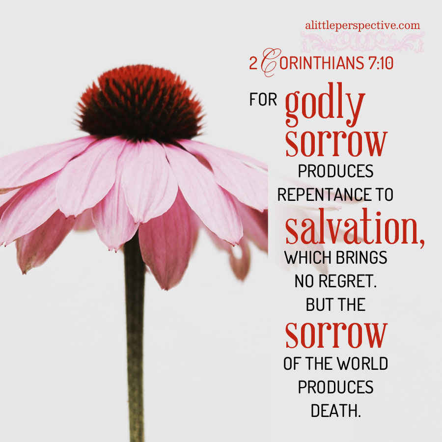 2 Cor 7:10 | scripture pictures at alittleperspective.com