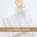 2020 Bible Study | alittleperspective.com