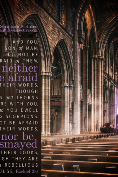 Eze 2:6 | Scripture Pictures @ alittleperspective.com