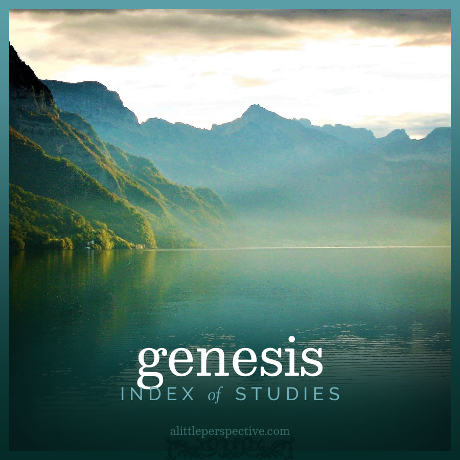 genesis index | christine's bible study at alittleperspective.com