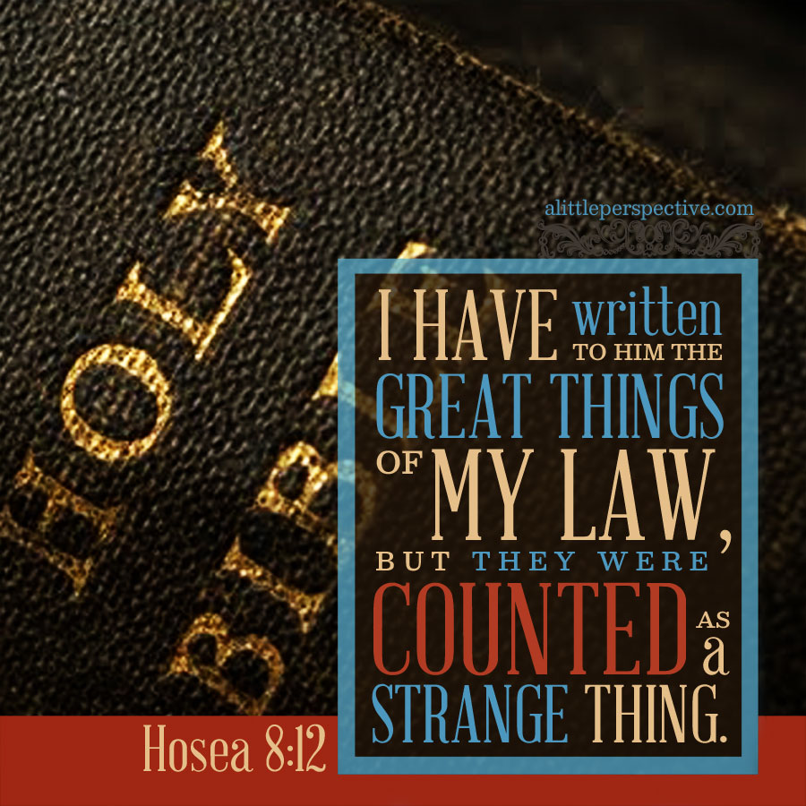 Hos 8:12 | scripture pictures at alittleperspective.com