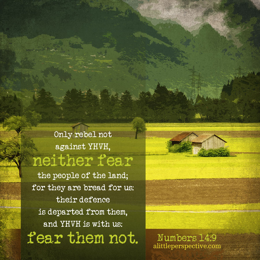 Num 14:9 | scripture pictures @ alittleperspective.com