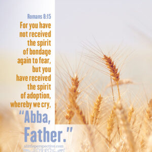 Rom 8:15 | scripture pictures @ alittleperspective.com