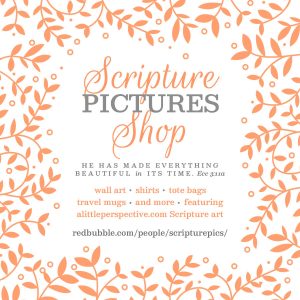 scripture pictures shop | alittleperspective.com