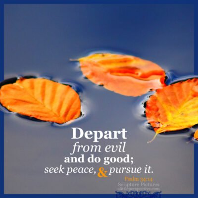 I Hate Halloween Gallery