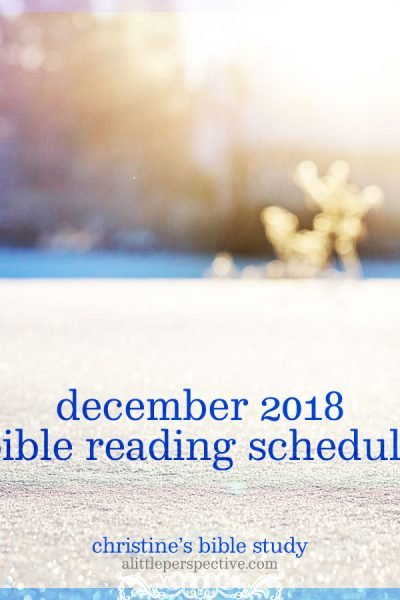 december 2018 bible reading schedule | christine's bible study at alittleperspective.com