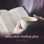2019 Bible Reading Plan | christine's bible study at alittleperspective.com
