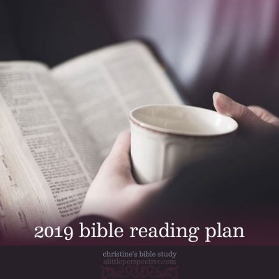 2019 bible reading plan