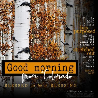 I forgot to post this morning!