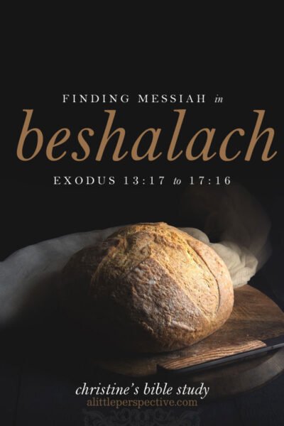 Finding Messiah in Beshalach | christine's bible study at alittleperspective.com