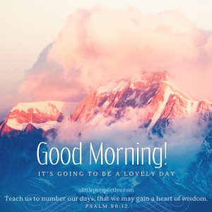 good morning | alittleperspective.com