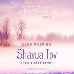 shavua tov good morning | alittleperspective.com