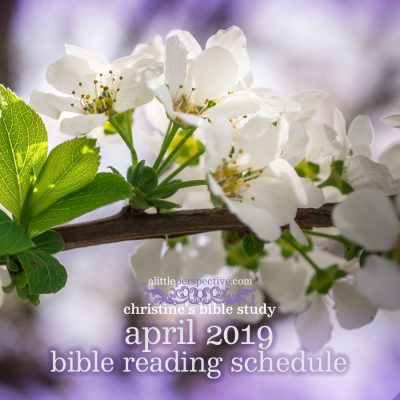 april 2019 bible reading schedule
