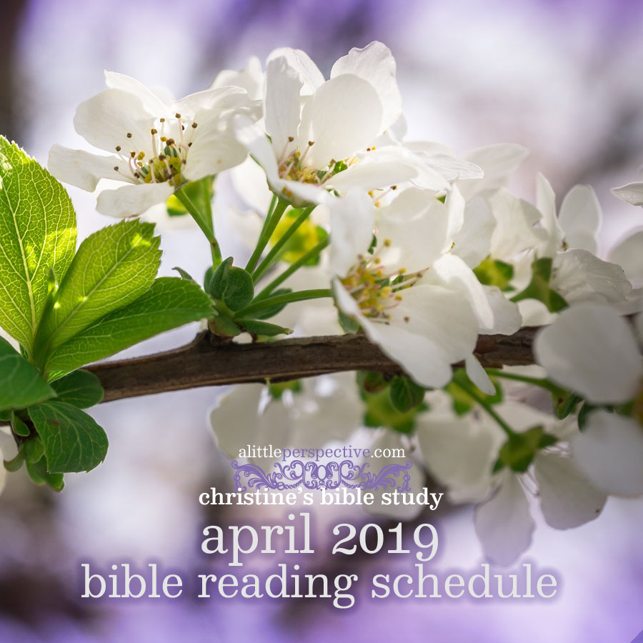 april 2019 bible reading | christine's bible study at alittleperspective.com