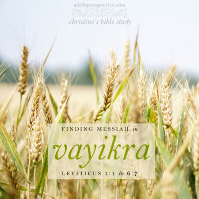 Finding Messiah in Vayikra, Leviticus 1:1-6:7