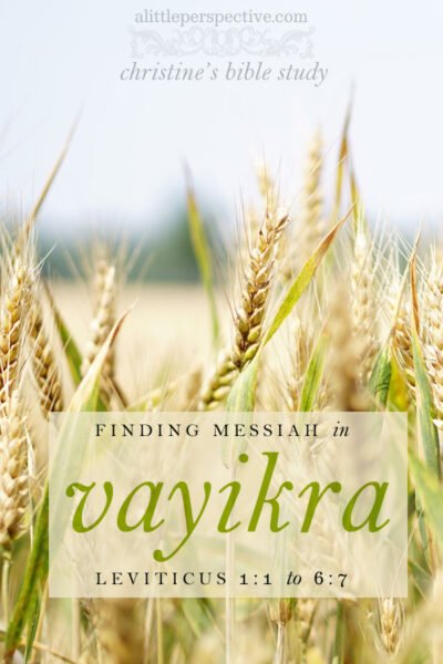 finding messiah in vayikra, lev 1:1-6:7 | christine's bible study at alittleperspective.com