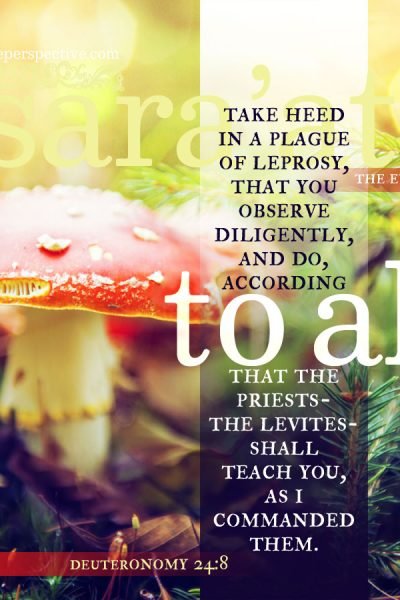 Deu 24:8 | scripture pictures at alittleperspective.com