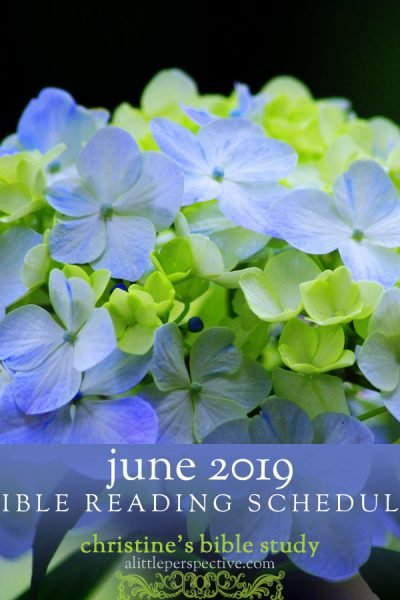 June 2019 Bible reading schedule | christine's bible study @ alittleperspective.com