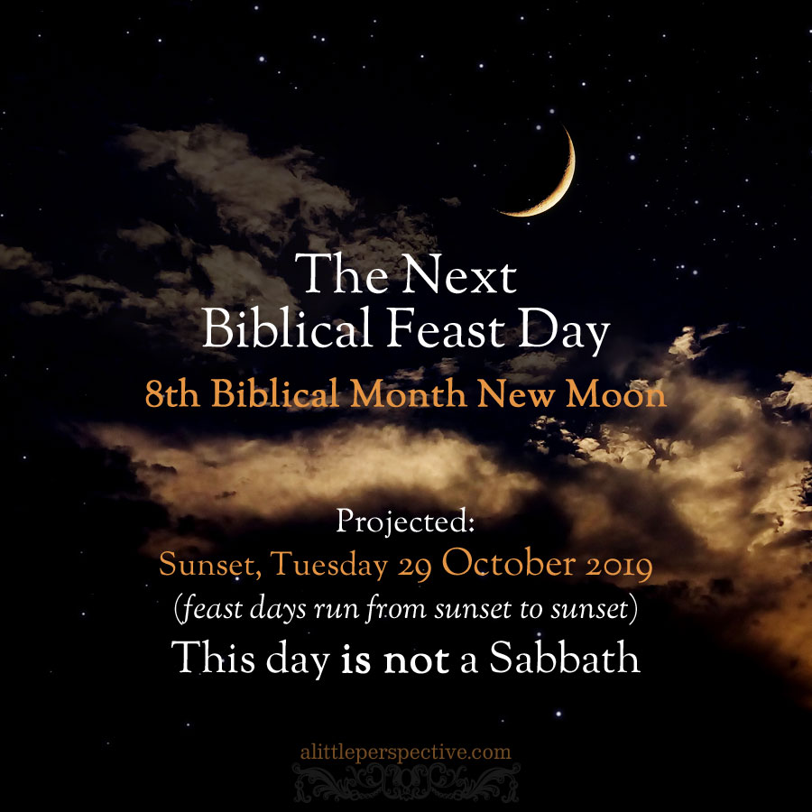 8th month new moon 2019 | alittleperspective.com