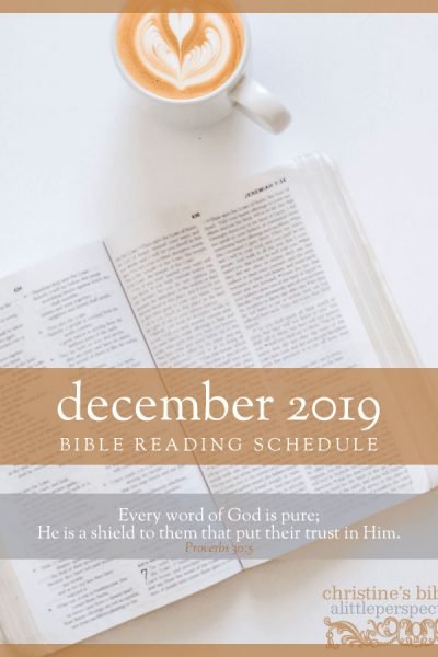 december 2019 bible reading schedule | christine's bible study at alittleperspective.com
