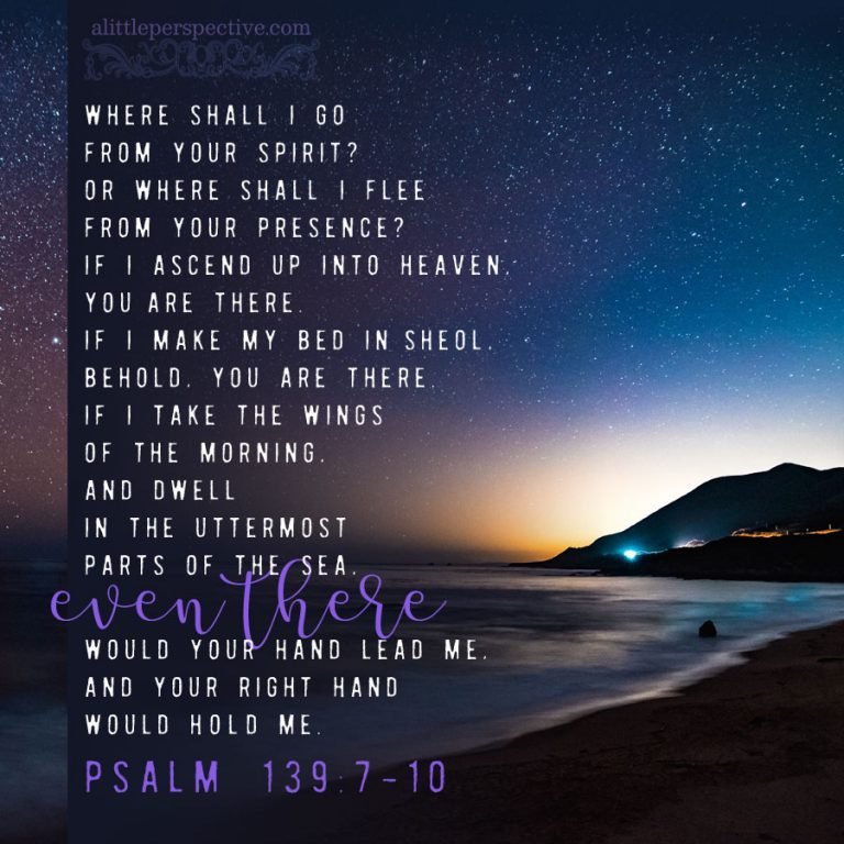 November 19th Scripture november 19 bible reading