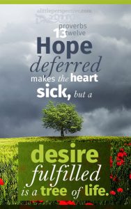 Pro 13:12 cell wallpaper | scripture pictures at alittleperspective.com