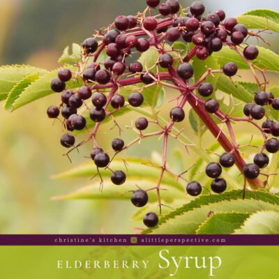 Elderberry Syrup