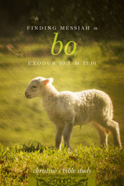 finding messiah in bo, exo 10:1-13:16 | christine's bible study at alittleperspective.com
