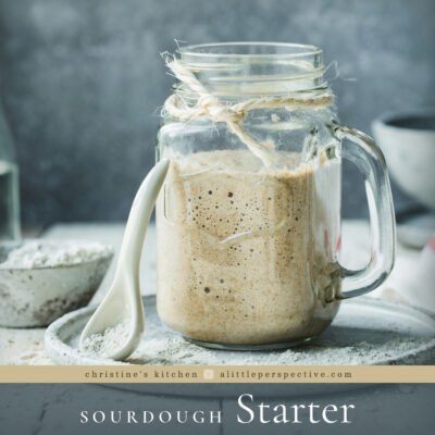 Sourdough Starter