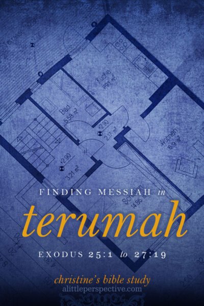 finding messiah in terumah | christine's bible study at alittleperspective.com