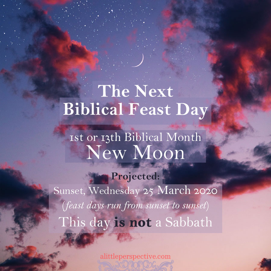 1st month 2020 new moon | alittleperspective.com
