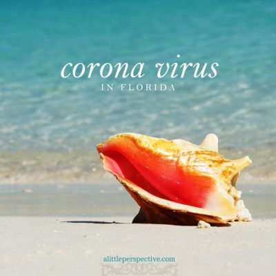 corona virus in florida