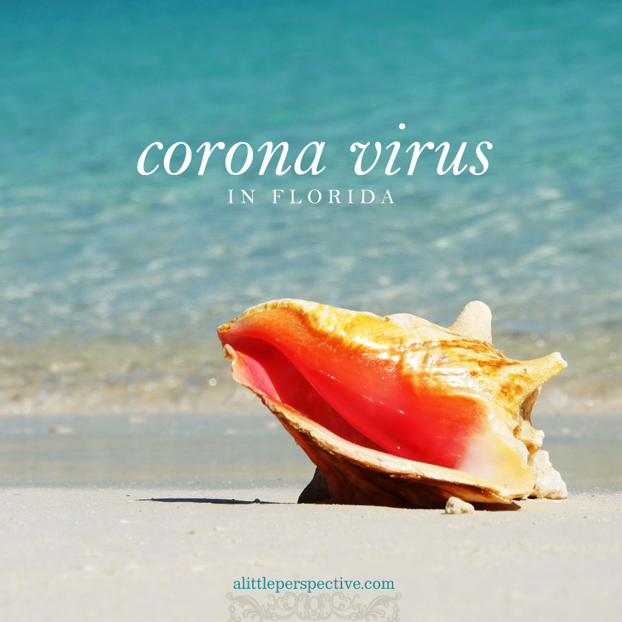 corona virus in florida | alittleperspective.com